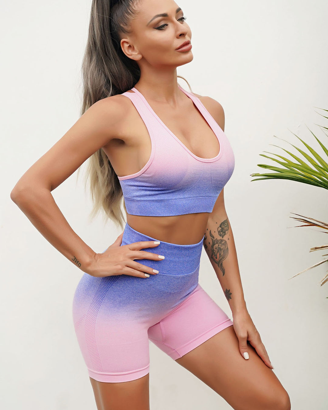 Gianna Seamless Shorts - Blue & Pink