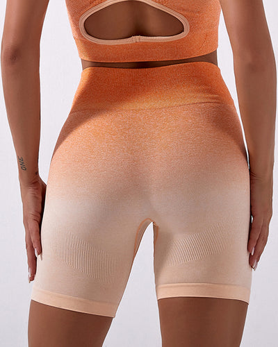 Calico Ombre Seamless Shorts