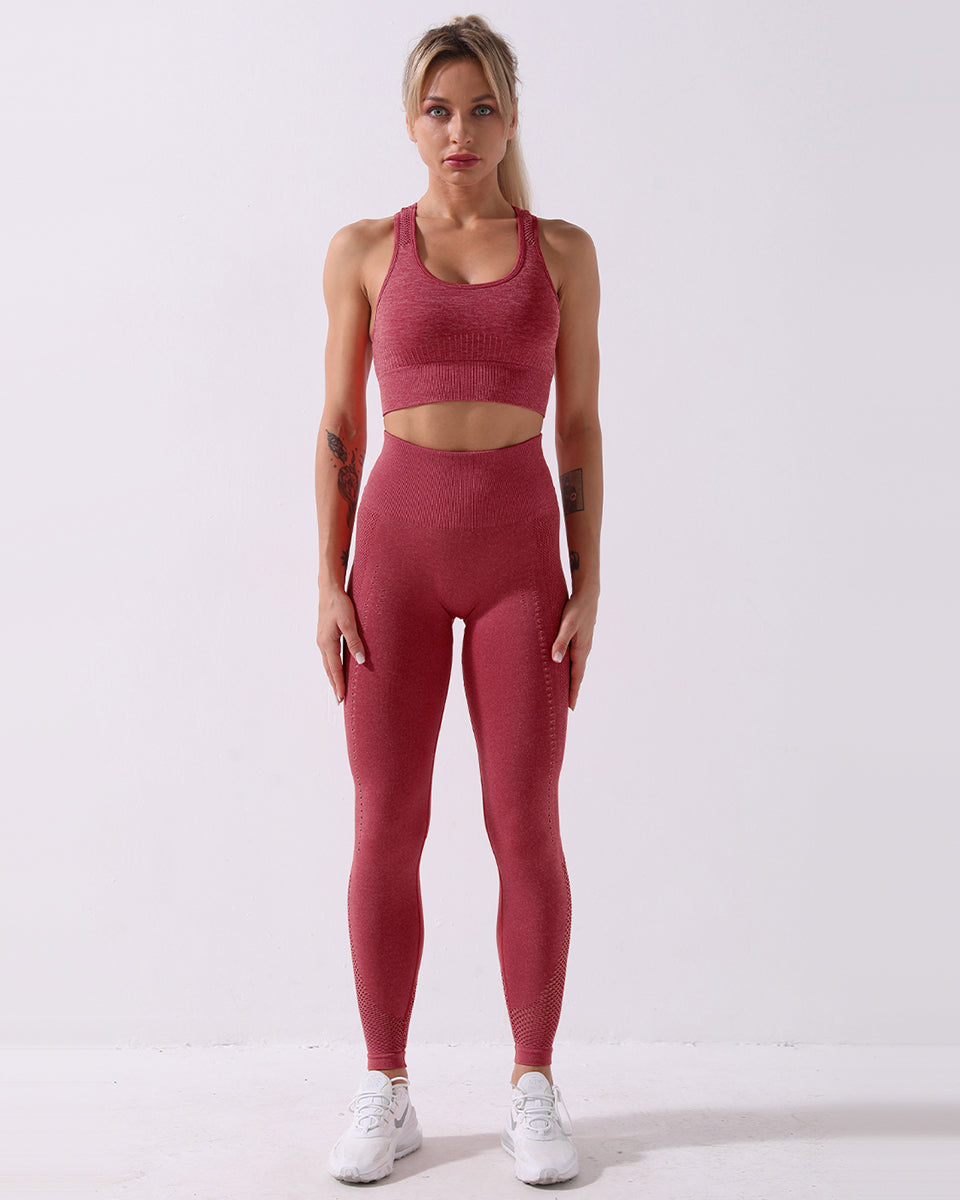 Terra Seamless Sports Bra – Amelia Activewear